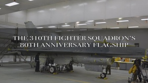 Luke AFB F-16 gets heritage paint in celebration of 310th FS's 80th Anniversary