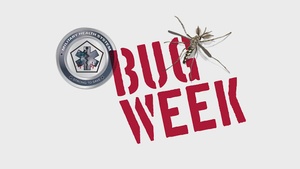 Bug Week Ticks