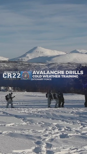 II MEF Cold Weather Training: Avalanche Drills