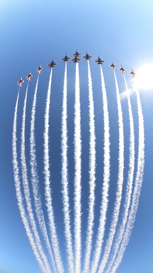 Thunderbirds and Blue Angels Fly in Super Delta