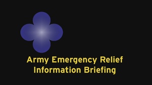 AER Information Briefing at Fort McCoy