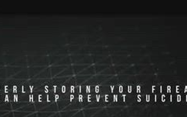 Suicide Prevention - Gun Locks