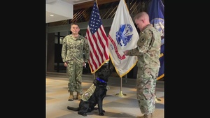 Army Sgt. Grover Reports for Duty as USU's Newest Facility Dog