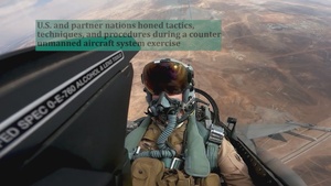 Live fly exercise