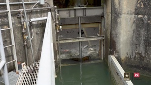 St. Stephen fish lift