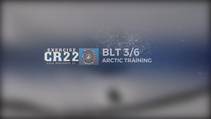 U.S. Marines Conduct Force on Force and Fire Support Coordination Training