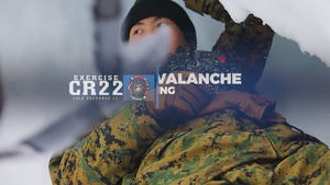 Exercise Cold Response 22 ADET Avalanche Rescue Training