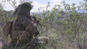 3/1 Battalion FEX (2 of 2)