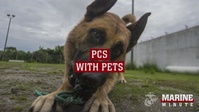 Marine Minute: PCS With Pets
