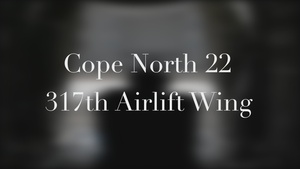 Cope North 22; 317th Airlift Wing