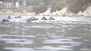 Task Force 61/2 Training in Souda Bay, Greece