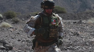 Partner nations, Red Dragons conduct joint reflexive-fire training exercise