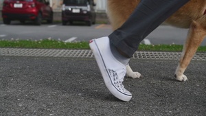 Man’s Best Friend (clean)