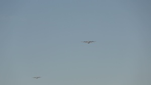 Cargo and Personnel Drop