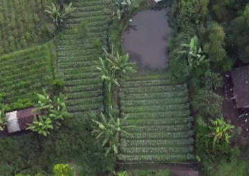 Indonesia Army and U.S. Army in the Indonesian Jungle