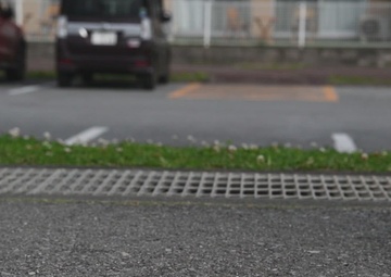 AFN: Man's Best Friend