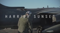 Harrier Sunset