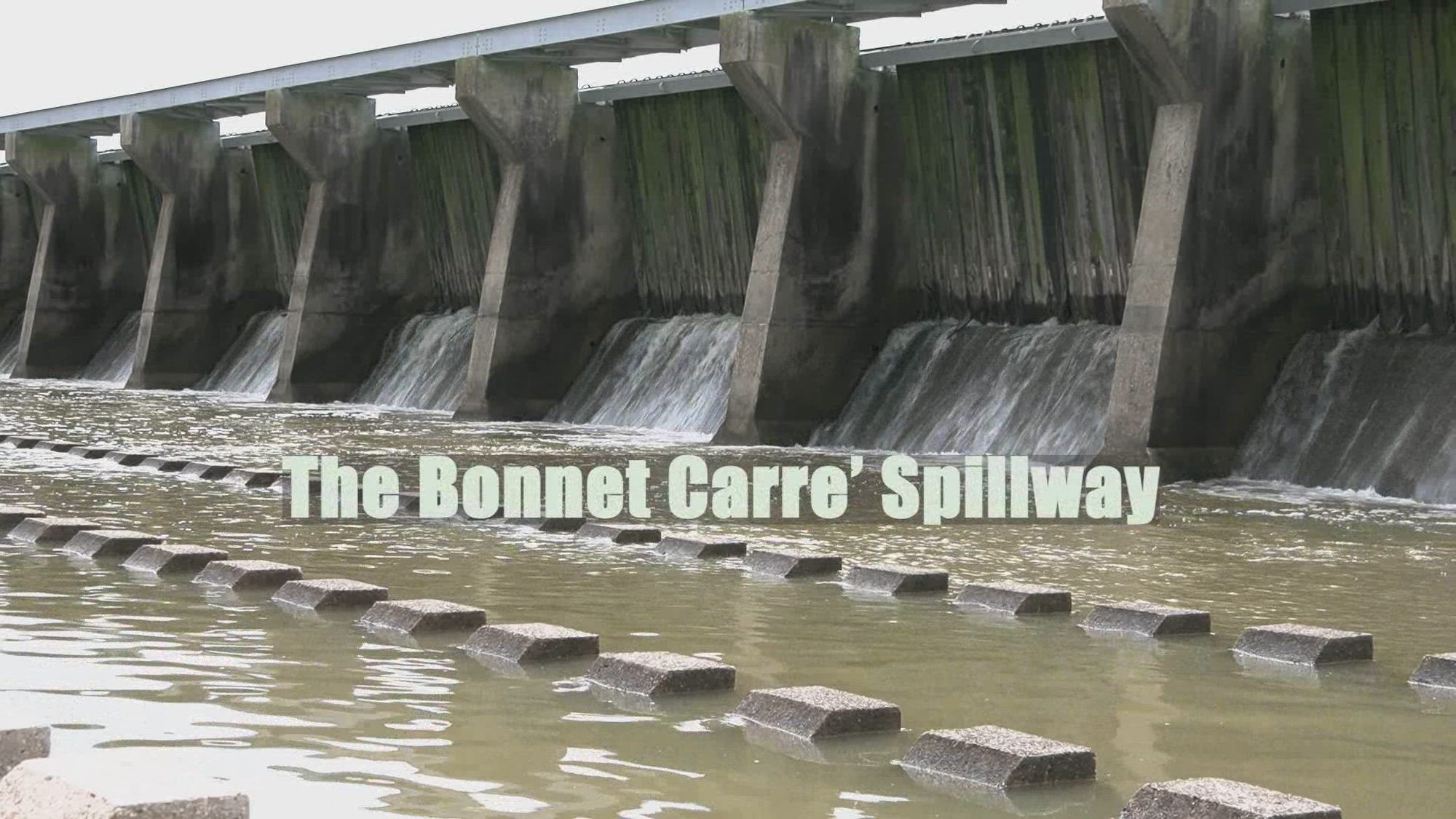 A look at the Bonnet Carre Spillway leakage and wildlife.