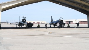 Exercise Agile Tiger