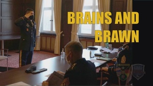Brains and Brawn