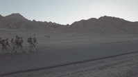 2/24 Riflemen and Jordanian Marines conduct rifle range.