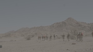 2/24 CAAT and Jordanian Marines conduct FINEX