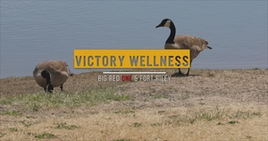 Victory Wellness Spotlight - Lt. Nikiay Comer