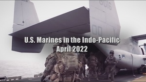 U.S. Marines in the Indo-Pacific
