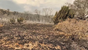 JBSA-Camp Bullis Fire