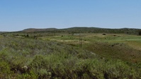 Camp Pendleton takes big steps toward wildlife preservation