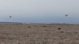Northern Viking TRAP