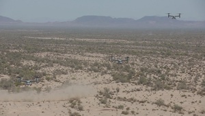WTI 2-22 Close Air Support  exercise