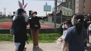 Osan Eggsperience-clean