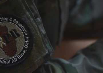 Restricted vs Unrestricted reporting