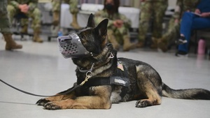 TCCC/SABC Updated Training BROLL