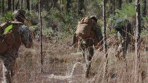 Atlantic Dragon | CLR-37 Marines conduct field craft training