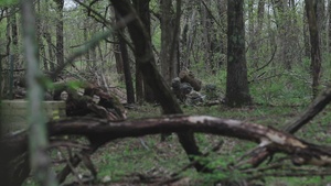 2nd Battalion, 327th Infantry Regiment "No Slack" conducts a Platoon Live Fire Exercise during OLEII,