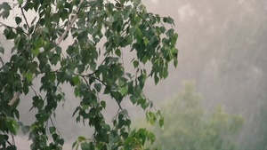 Fort Sill Inclement Weather PSA