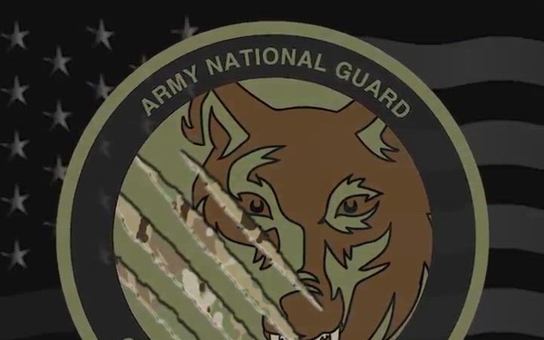 Operations Group Wolf Mission Introduction
