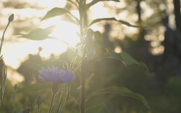 633 Air Base Wing participates in Exercise Ardent Crossbow - Phase 2: Tactical Operations Center