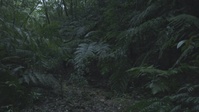 III MIG Jungle Warfare Training Exercise
