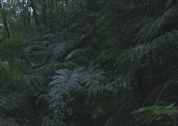 III MIG Jungle Warfare Training Exercise
