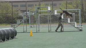 51st SFS MWD Competition