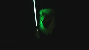 May the Fourth be with AFN