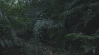 III MIG Jungle Warfare Training Exercise Spot