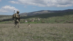 Trojan Footprint 22 tests interoperability, increases allied partnership