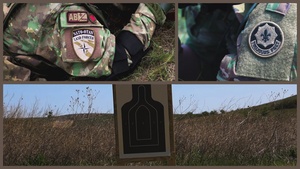 2CR conducts a Live Fire Exercise in Babadag
