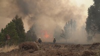 New Mexico Wildfires: Calf Canyon/Hermits Peak Wildfire Footage