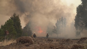 New Mexico Wildfires: Calf Canyon/Hermits Peak Wildfire Footage