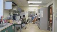 Moody's Vet clinic keeps mission healthy